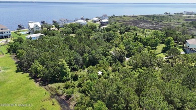 Location, Location, Location! Ready to own a piece of paradise - photo 4
