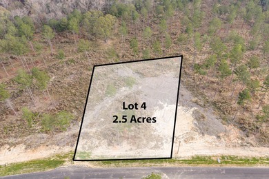 Strom Thurmond / Clarks Hill Lake Acreage For Sale in Appling Georgia