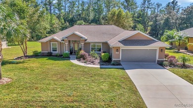 Withlacoochee River Home For Sale in Dunnellon Florida