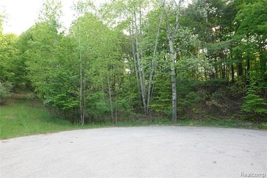 (private lake, pond, creek) Lot Active Under Contract in Elk Rapids Michigan