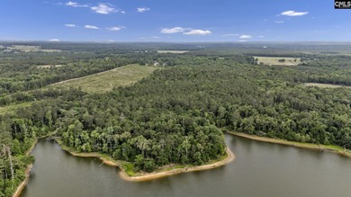 Wooded, undeveloped tract of land fronting Dominion fringe land - photo 12