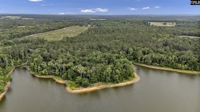 Wooded, undeveloped tract of land fronting Dominion fringe land - photo 13