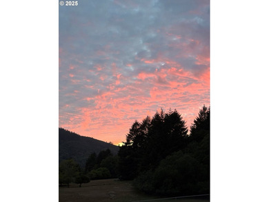 This bright and cheery 2/2 located up the Chetco River above the - photo 15