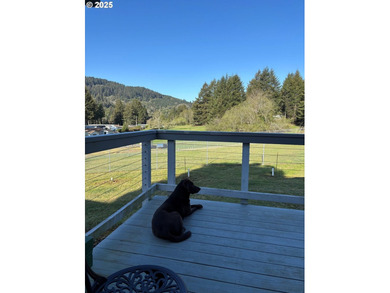 This bright and cheery 2/2 located up the Chetco River above the - photo 17