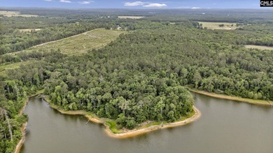 Wooded, undeveloped tract of land fronting Dominion fringe land - photo 23
