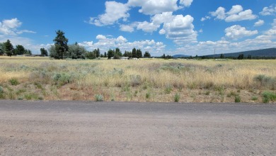 Agency Lake Lot For Sale in Chiloquin Oregon