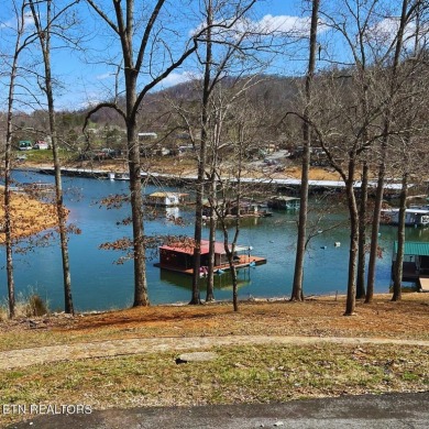 Norris Lake Home For Sale in Speedwell Tennessee