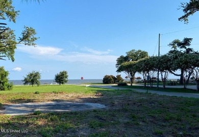 Experience the vibrant lifestyle of the Mississippi Gulf Coast - photo 11