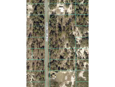 Bonable Lake Lot For Sale in Dunnellon Florida