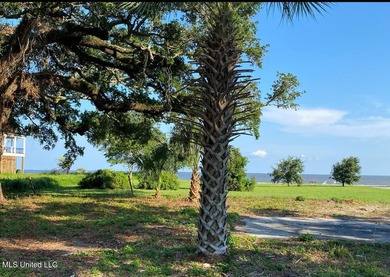 Experience the vibrant lifestyle of the Mississippi Gulf Coast - photo 12