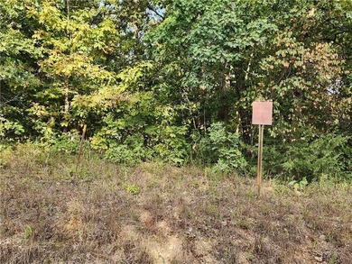 This listing includes 2 parcels: 17-8.0-33-000-000-024.000 3.5 - photo 13
