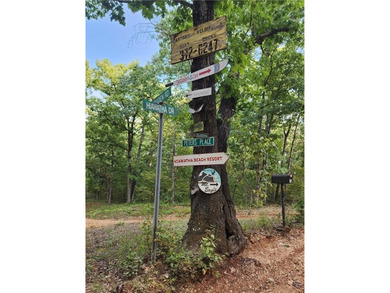 This listing includes 2 parcels: 17-8.0-33-000-000-024.000 3.5 - photo 21
