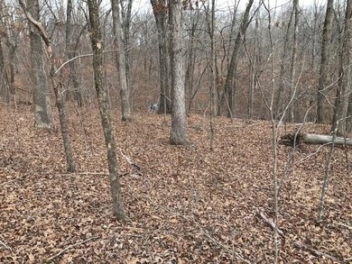 This listing includes 2 parcels: 17-8.0-33-000-000-024.000 3.5 - photo 22