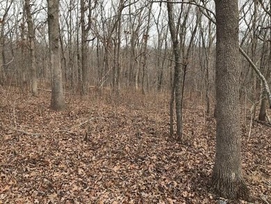 This listing includes 2 parcels: 17-8.0-33-000-000-024.000 3.5 - photo 23