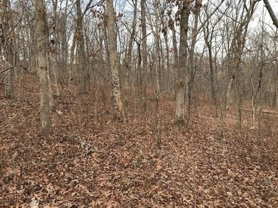 This listing includes 2 parcels: 17-8.0-33-000-000-024.000 3.5 - photo 24