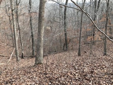This listing includes 2 parcels: 17-8.0-33-000-000-024.000 3.5 - photo 26