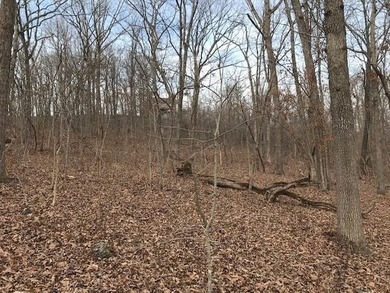 This listing includes 2 parcels: 17-8.0-33-000-000-024.000 3.5 - photo 27