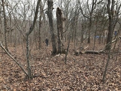 This listing includes 2 parcels: 17-8.0-33-000-000-024.000 3.5 - photo 29