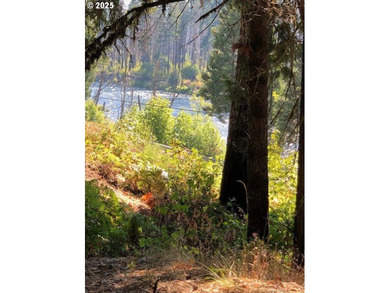 McKenzie River  Lot For Sale in Blueriver Oregon