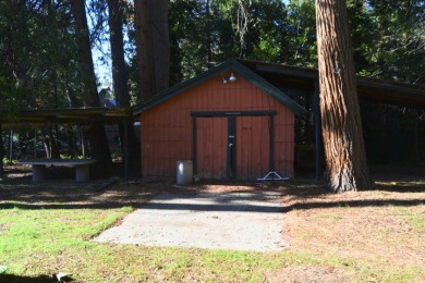 Bass Lake Cabin on a large lot - photo 2