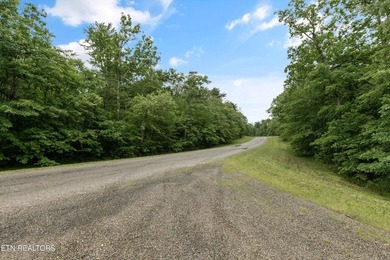 Looking for space, privacy, and natural beauty? This 1.58-acre - photo 11