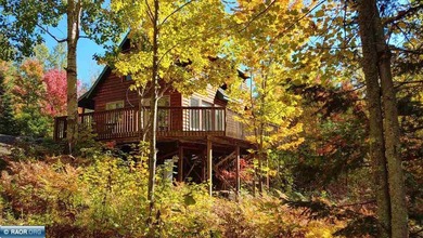 Looking for privacy? This furnished fishing, hunting, and family - photo 1