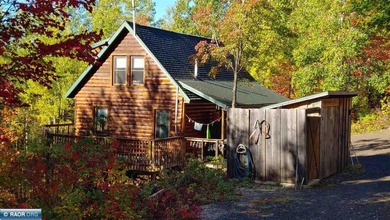 Looking for privacy? This furnished fishing, hunting, and family - photo 4