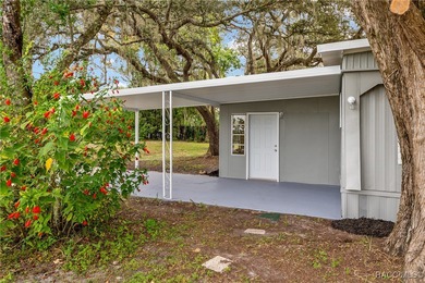 (private lake, pond, creek) Home For Sale in Inverness Florida