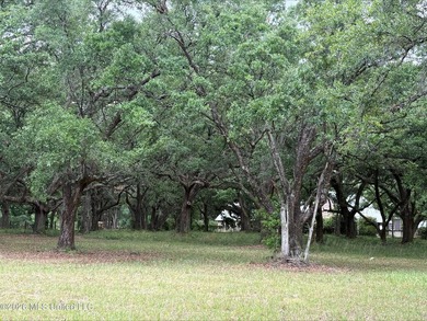 Tucked beneath beautiful mature live oaks, this 2.3-acre corner - photo 2