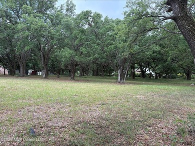 Tucked beneath beautiful mature live oaks, this 2.3-acre corner - photo 3