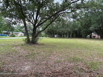 Tucked beneath beautiful mature live oaks, this 2.3-acre corner - photo 4