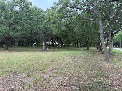 Tucked beneath beautiful mature live oaks, this 2.3-acre corner - photo 5