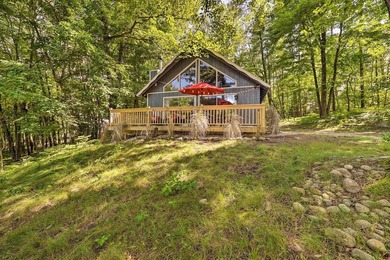 (private lake, pond, creek) Home Active Under Contract in Canadian Lakes Michigan