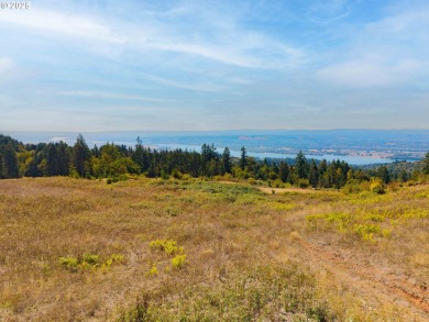 Lake Acreage For Sale in Kalama, Washington
