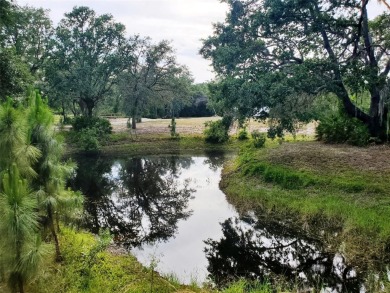Lake Acreage For Sale in Bradenton, Florida