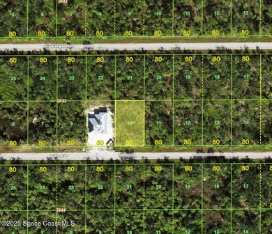 Port Charlotte Waterway Area Lot For Sale in Port Charlotte Florida