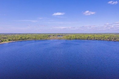 Take advantage of this rare opportunity to own acreage and lake - photo 12