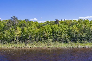 Take advantage of this rare opportunity to own acreage and lake - photo 15