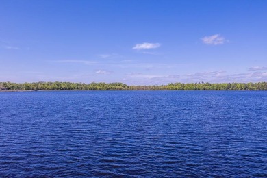 Take advantage of this rare opportunity to own acreage and lake - photo 16