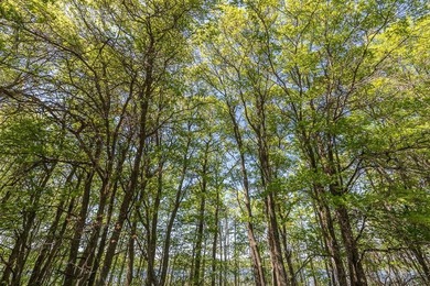 Take advantage of this rare opportunity to own acreage and lake - photo 21