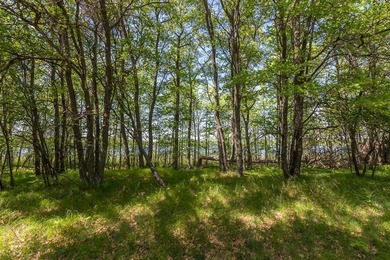 Take advantage of this rare opportunity to own acreage and lake - photo 22