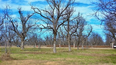 Lake Granbury Lot For Sale in Granbury Texas