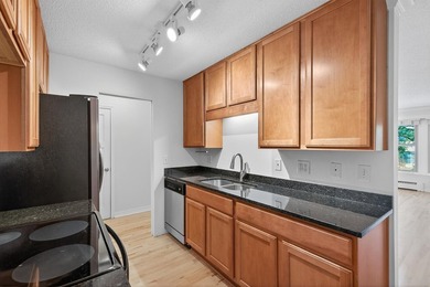 Just blocks from Lake of the Isles, Uptown, and Downtown - photo 8