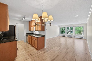 Just blocks from Lake of the Isles, Uptown, and Downtown - photo 10