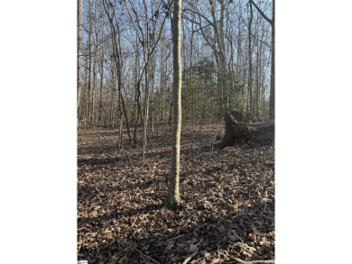 Lake Acreage For Sale in Anderson, South Carolina
