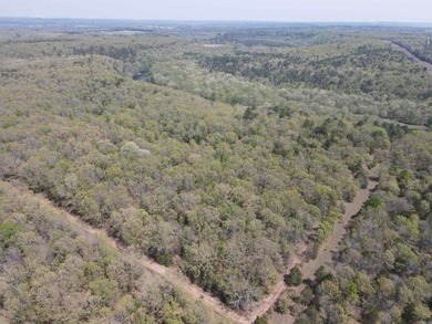 Escape to 9.2 acres +/- of scenic recreational timberland with - photo 11