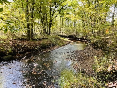 Lake Acreage For Sale in Morley, Michigan
