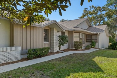 Beautifully maintained 2 bedroom, 2 bath home in Sugarmill Woods - photo 2