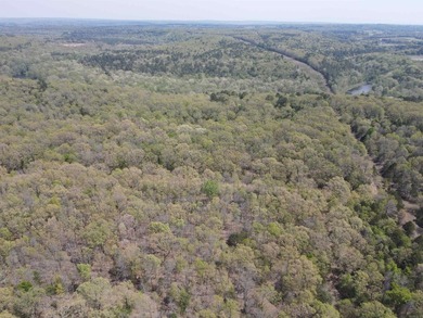 Escape to 9.2 acres +/- of scenic recreational timberland with - photo 13