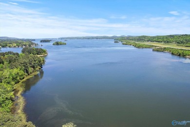 Prime 20-acre waterfront property w/ approx. 2700 feet of - photo 13